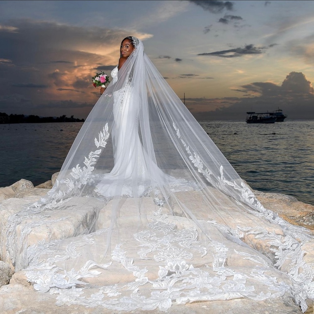 Beautiful Enzoani wedding dress beaded with lace and detachable vail with train